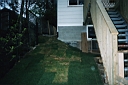 Image-01.JPG