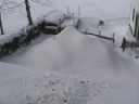 3N01-2-3(14-32).jpg