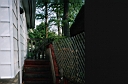 Image-01.JPG