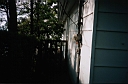 Image-06.JPG