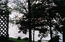 Image-12.JPG