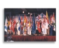 p_flags.jpg